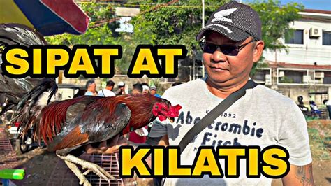 sipat kilatis live|sipat kilatis jed huli sa camera is live now. .